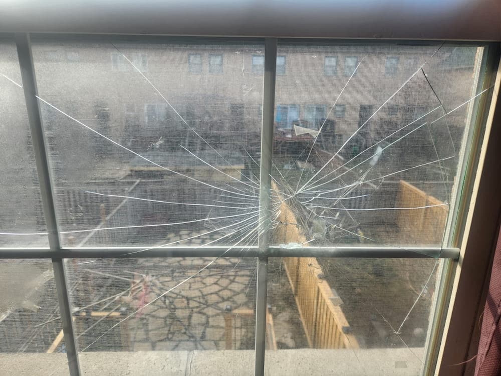 Cracks spreading across a divided window pane overlooking a yard.