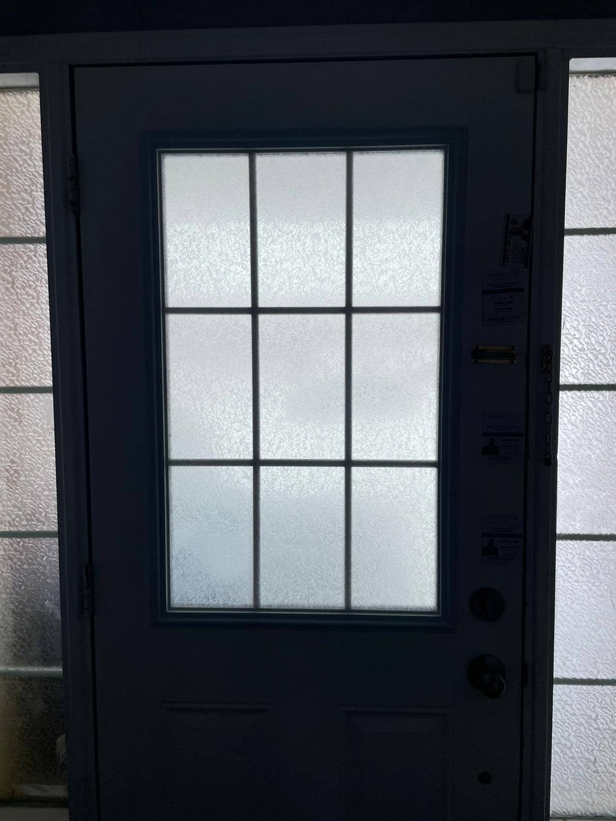 Dark door with a grid of frosted glass panes beside matching sidelights.