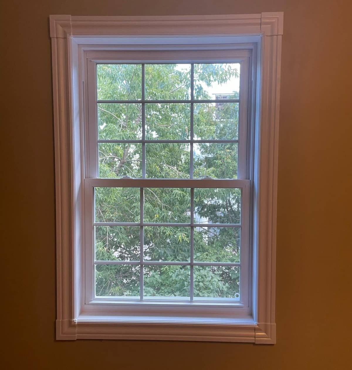 White double-hung window with a grid pattern on both sashes.