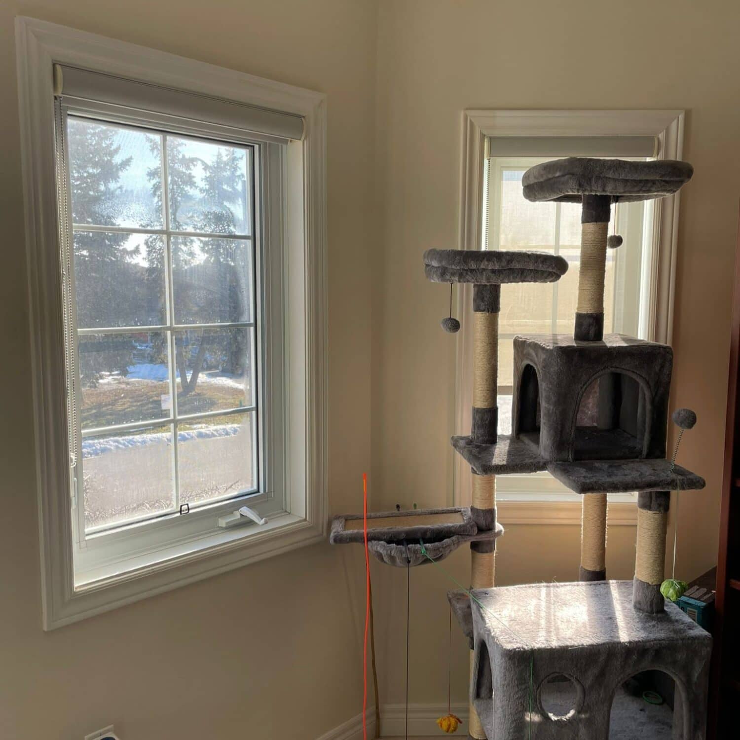 Residential window beside a cat tree, showing the glass, sash and trim.